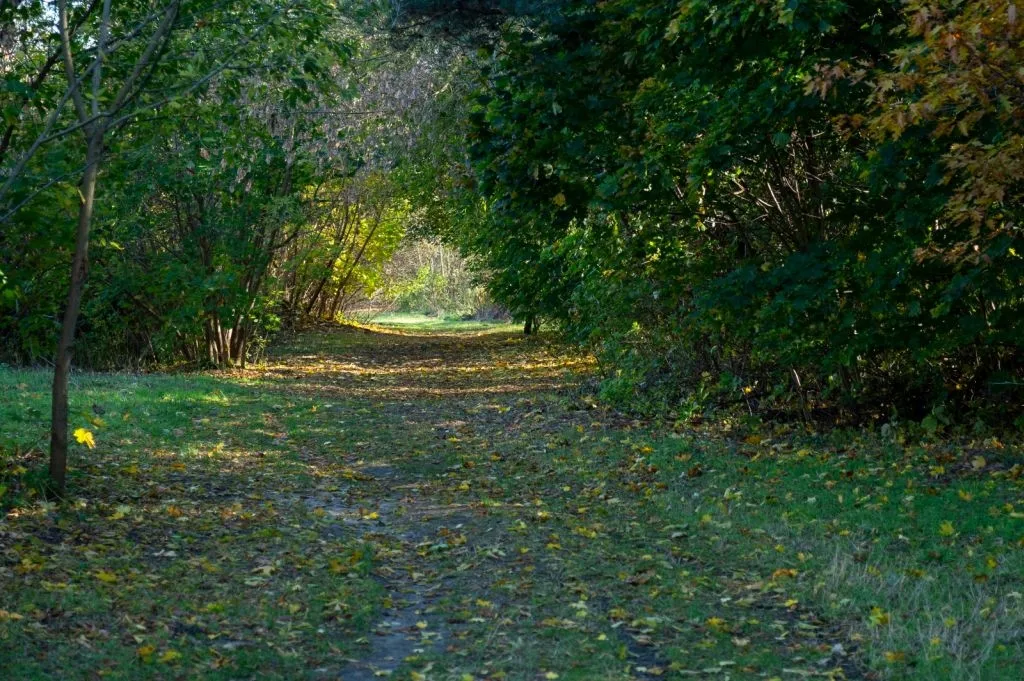Nowy Park Grzywno jako przestrzeń dla wypoczynku i aktywności