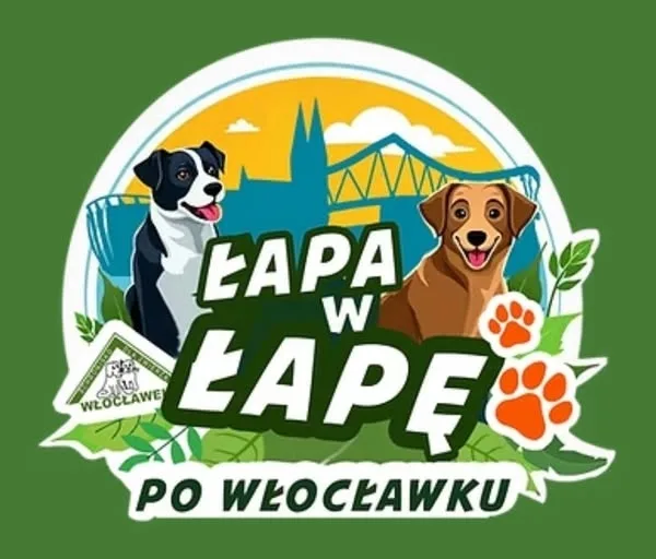 Psy ze schroniska na spacerach po włocławskich bulwarach