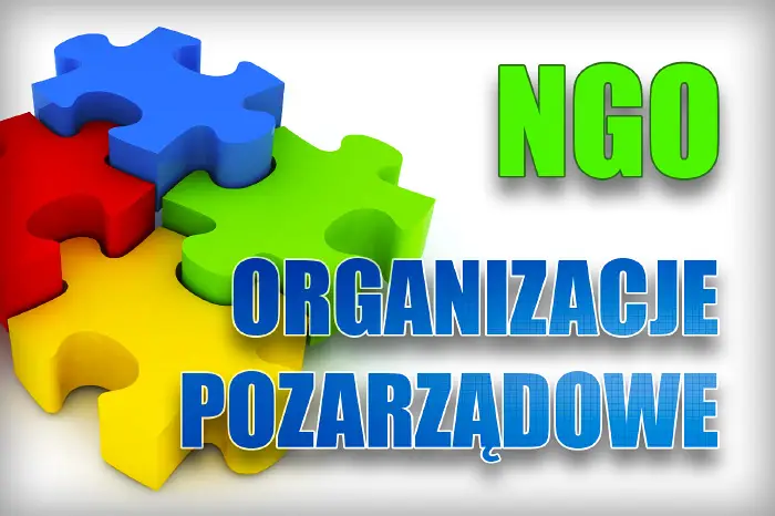 Opracowanie Rocznego Programu Współpracy z Organizacjami Pozarządowymi w Włocławku