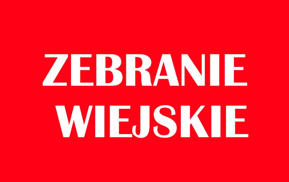 Wybory uzupełniające w Sołectwie Kolonia Dębice