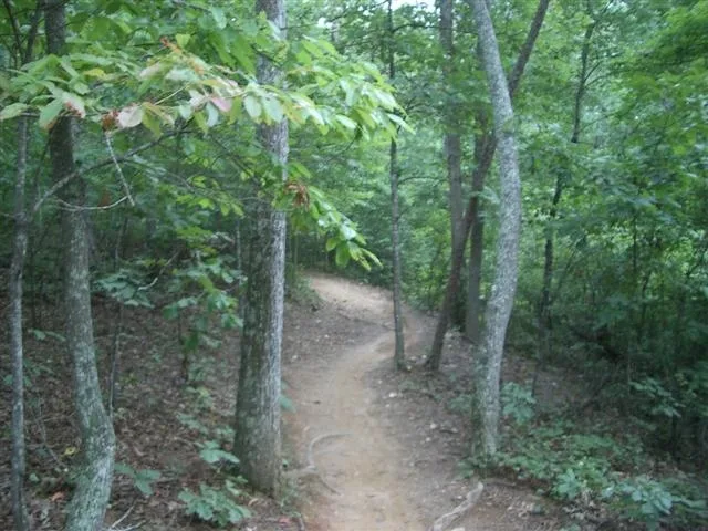 Włocławski Single Track w budowie